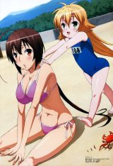 BUY NEW sekirei - 194202 Premium Anime Print Poster